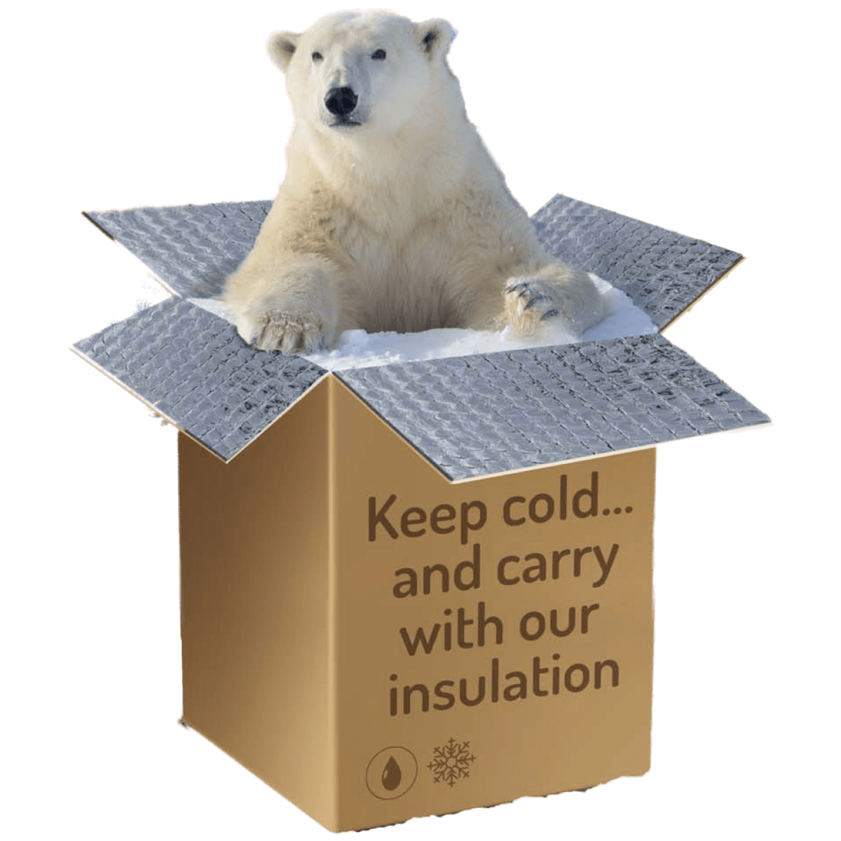 BePack oneway packaging